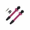 Barbieri, Ventil Alu Tubelessventil SV 45mm, Pink -Fahrräder Aufbau Geschäft barbieri ventil alu tubelessventil sv 45mm pink