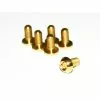 BBP, Titanschraube, TI6AL4V, M5x10 Torx 25, 1,15g, Gold -Fahrräder Aufbau Geschäft bbp titanschraube ti6al4v m5x10 torx 25 115g gold