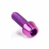 BBP, Titanschraube, TI6AL4V, M5x15, 1,9g, Purple -Fahrräder Aufbau Geschäft bbp titanschraube ti6al4v m5x15 19g purple