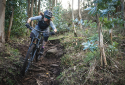 Dirtlej Trailscout Half & Half Ladies Shorts Grey/mint -Fahrräder Aufbau Geschäft image HO DY 0020 4 600x600