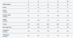 Dirtlej Dirtsuit SFD Edition Grau/blau -Fahrräder Aufbau Geschäft image JA DY 0011 6 600x600