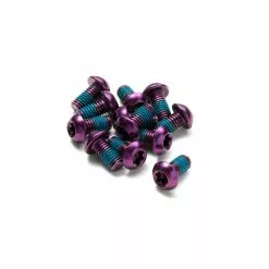 Reverse, Schrauben Für Bremsscheibe 6-loch, 12x Schraube M5x10, T25, Purple