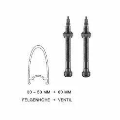 Schwalbe, Ventil Alu Tubelessventil 60mm Für TL-Ready Umrüstung SV, 2er Pack, Schwarz