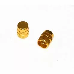Token, Ventilkappen Alu, 1 Paar, Für AV Autoventil, Schrader Ventil, 2g, Gold